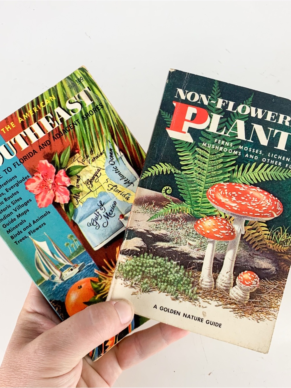 Pair Vintage Golden Guide Non Flowering Plants 1967 American Southeast 1960 Book